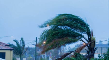 Hurricane Storm