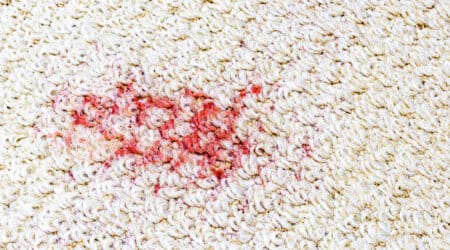 Time for Professional Carpet Cleaning 8 Signs to Look For