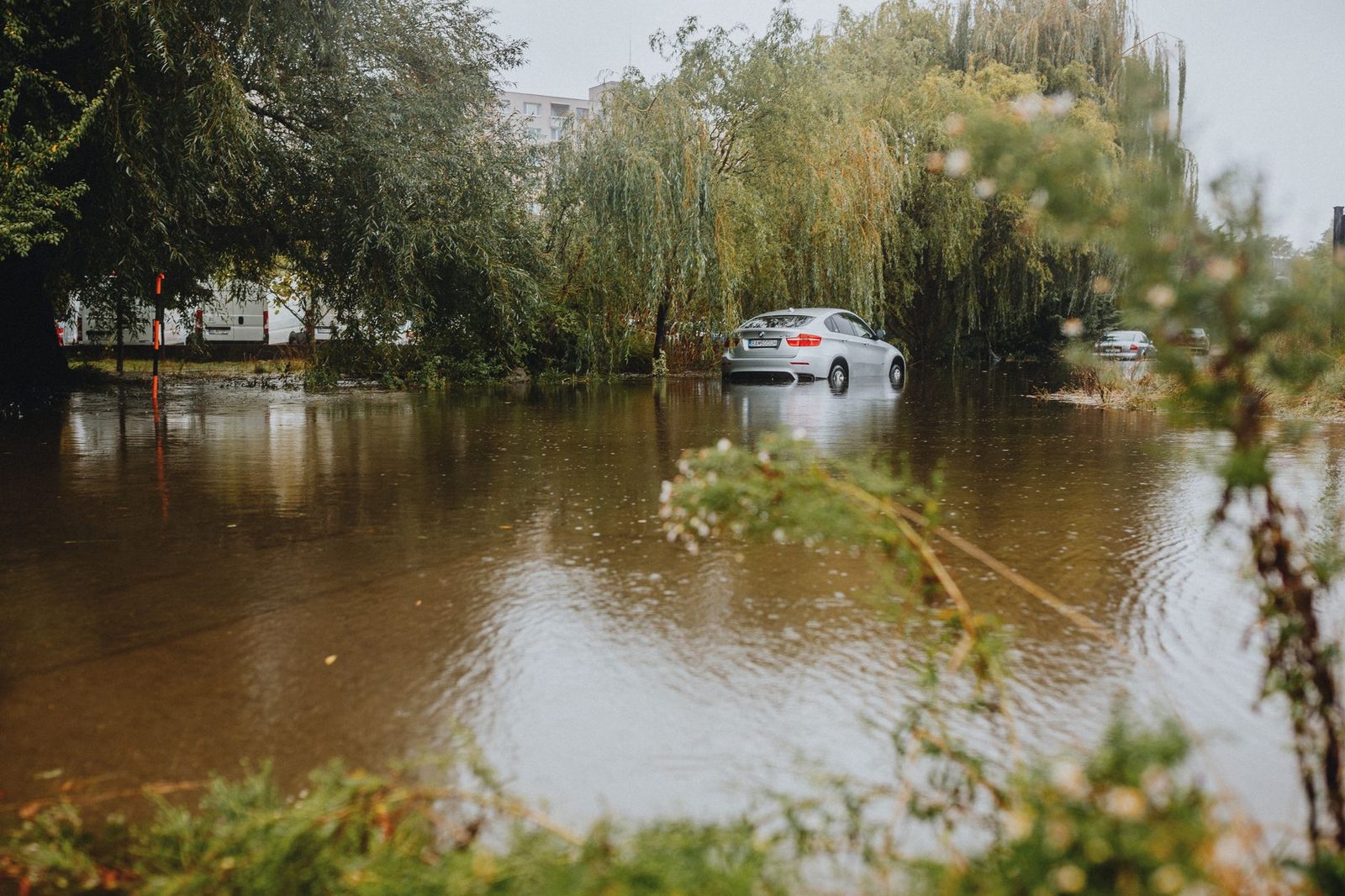 Water damage restoration in New Orleans