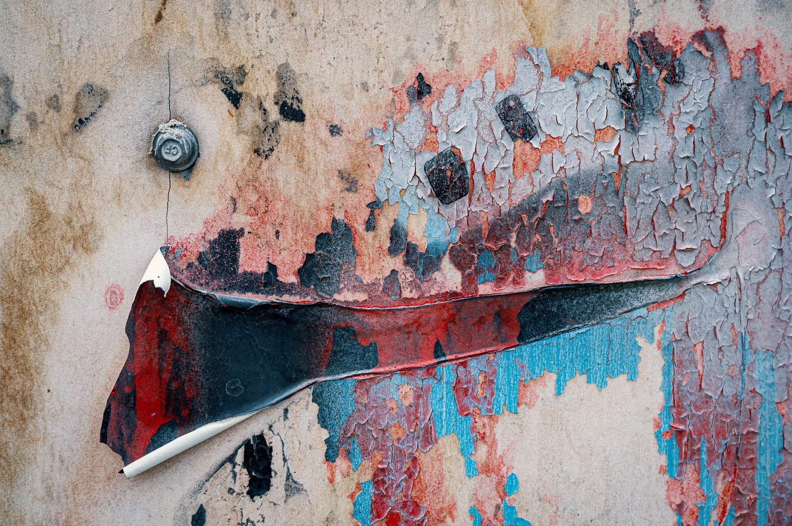 Mold growth on an interior wall