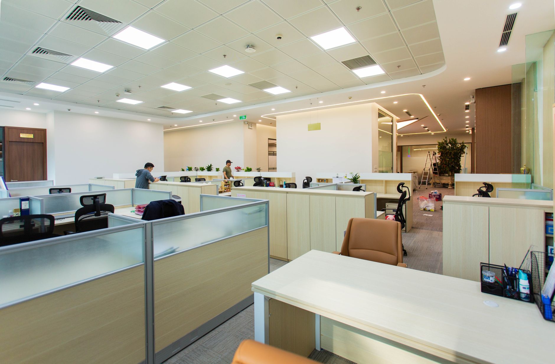 Bright, clean office ceiling above a New Orleans workplace