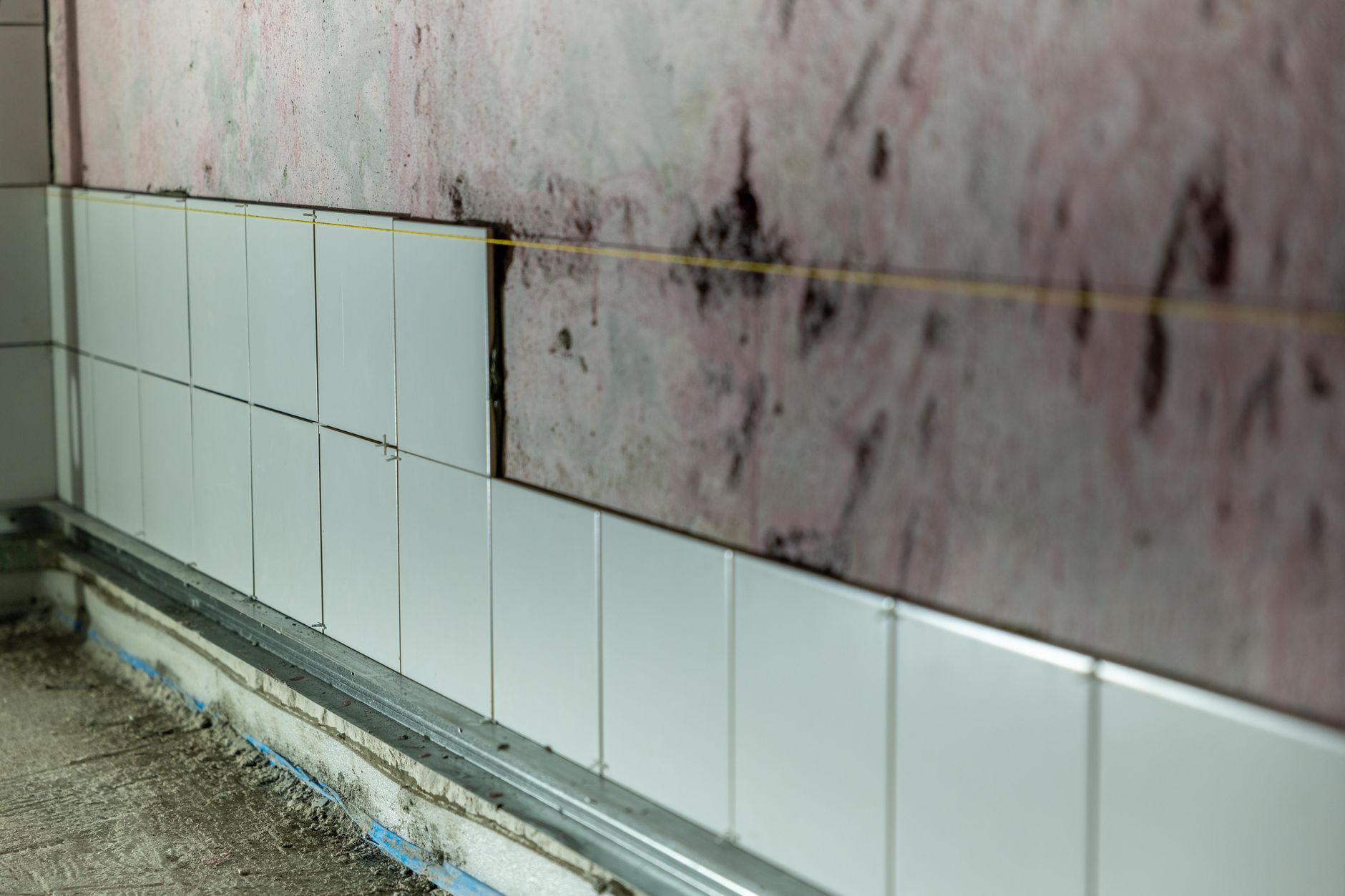 Hidden mold spreading behind the baseboard of a New Orleans home